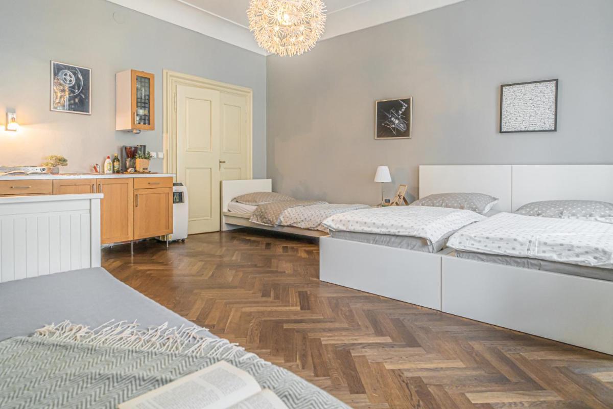 Karmelitska 2 Luxury 1b Apartment